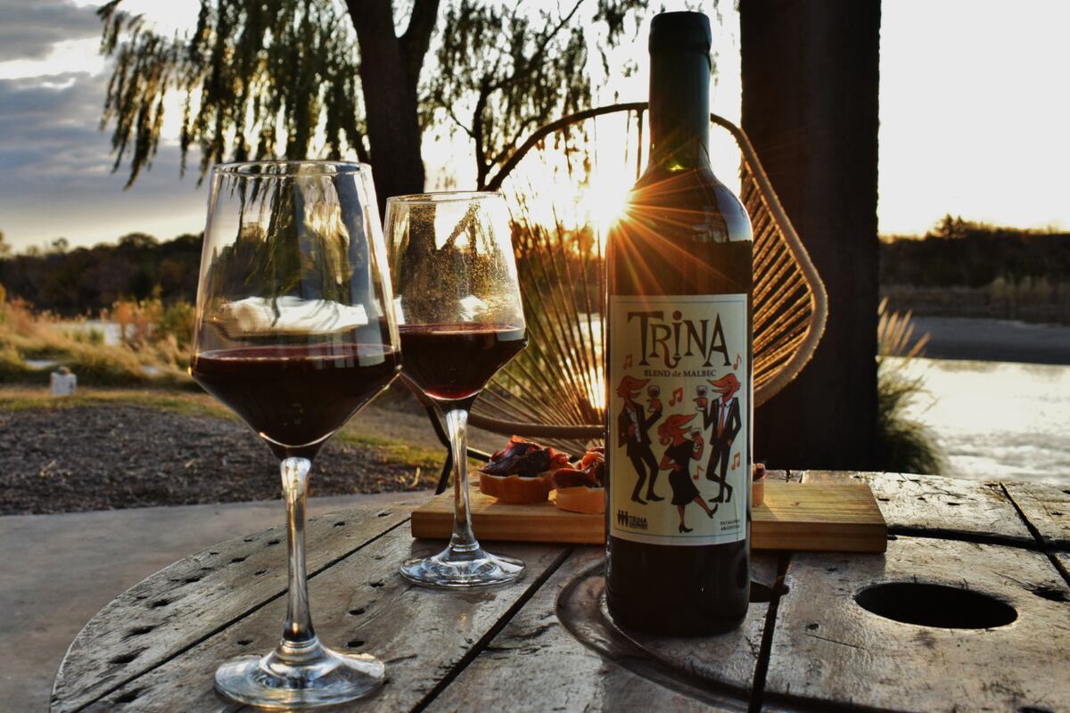 Los Caminos del Vino de Río Negro es uno de los principales atractivos de la provincia.