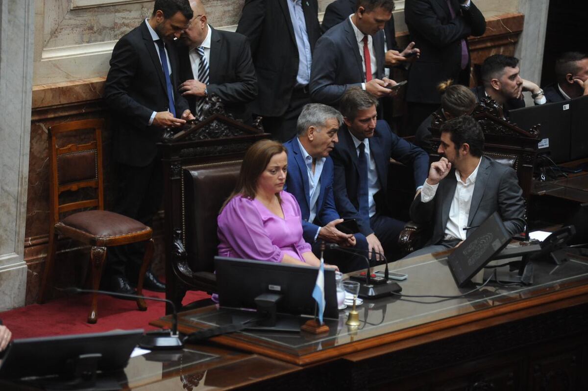 Cecilia Moreau, presidenta de la Cámara de Diputados de la Nación - Foto: Federico López Claro