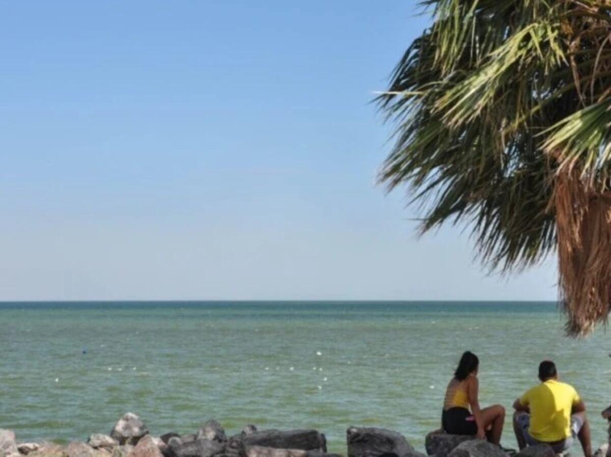 Miramar de Ansenuza: guía completa del “Caribe cordobés”, el destino que es tendencia este verano