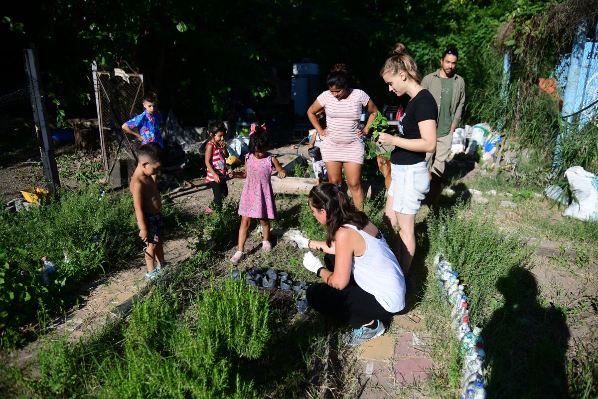 Las huertas urbanas comunitarias son una oportunidad para intercambiar saberes. (Christian Luna / La Voz)