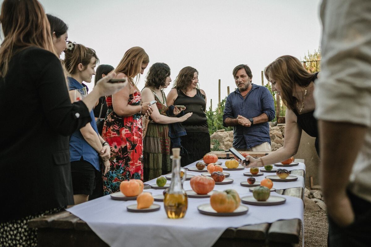 Festival Del Tomate 2026.