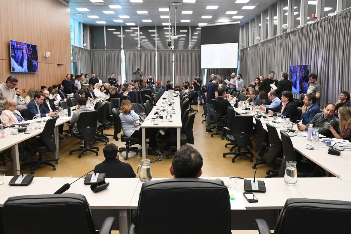 La comisión investigadora del escándalo cripto vuelve a funcionar (Foto: HCDN)