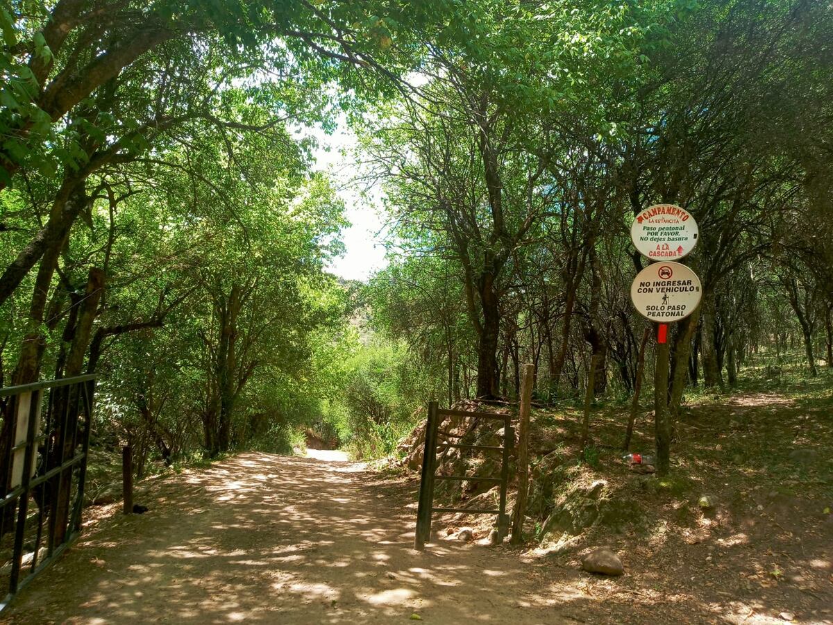 Para llegar a la cascada hay que hacer una caminata de unos 20 minutos. (Foto: Andrea Molina)