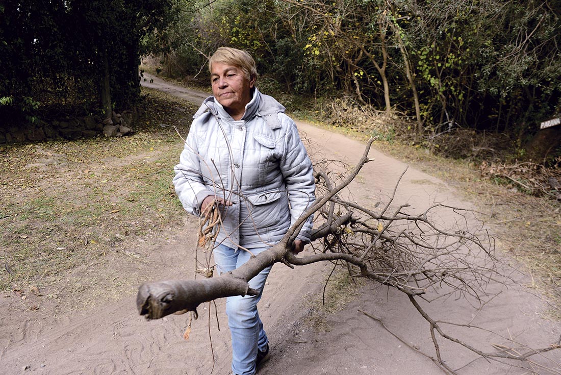Liliana Cortéz, vecina de Salsipuedes, vende panes que cocina con leña en su horno de barro. Y junta en el monte cercano a su casa. (José Gabriel Hernández / La Voz)