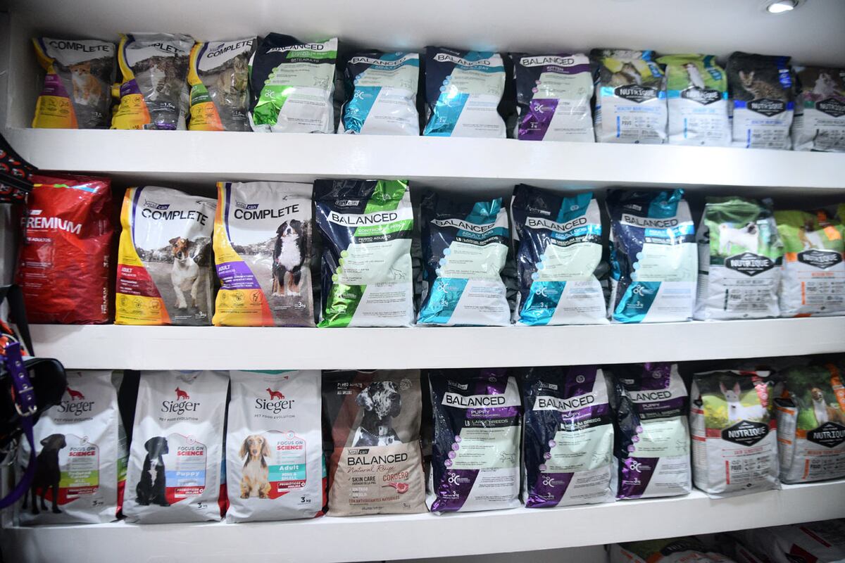El alimento balanceado, lo más costoso para mantener un animal. (La Voz / Archivo)