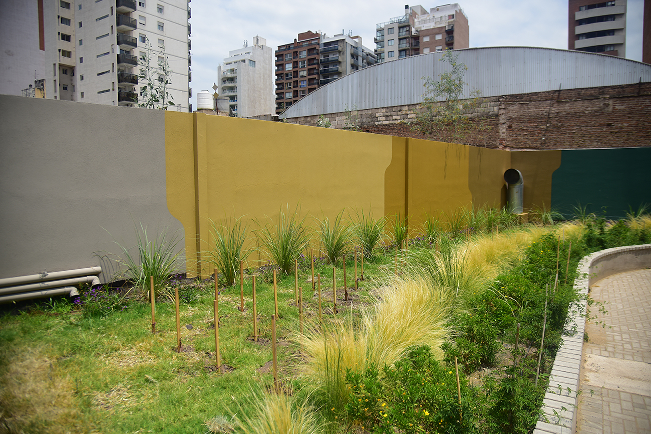 Presentan el primer viñedo urbano de Córdoba
Foto: Pedro Castillo