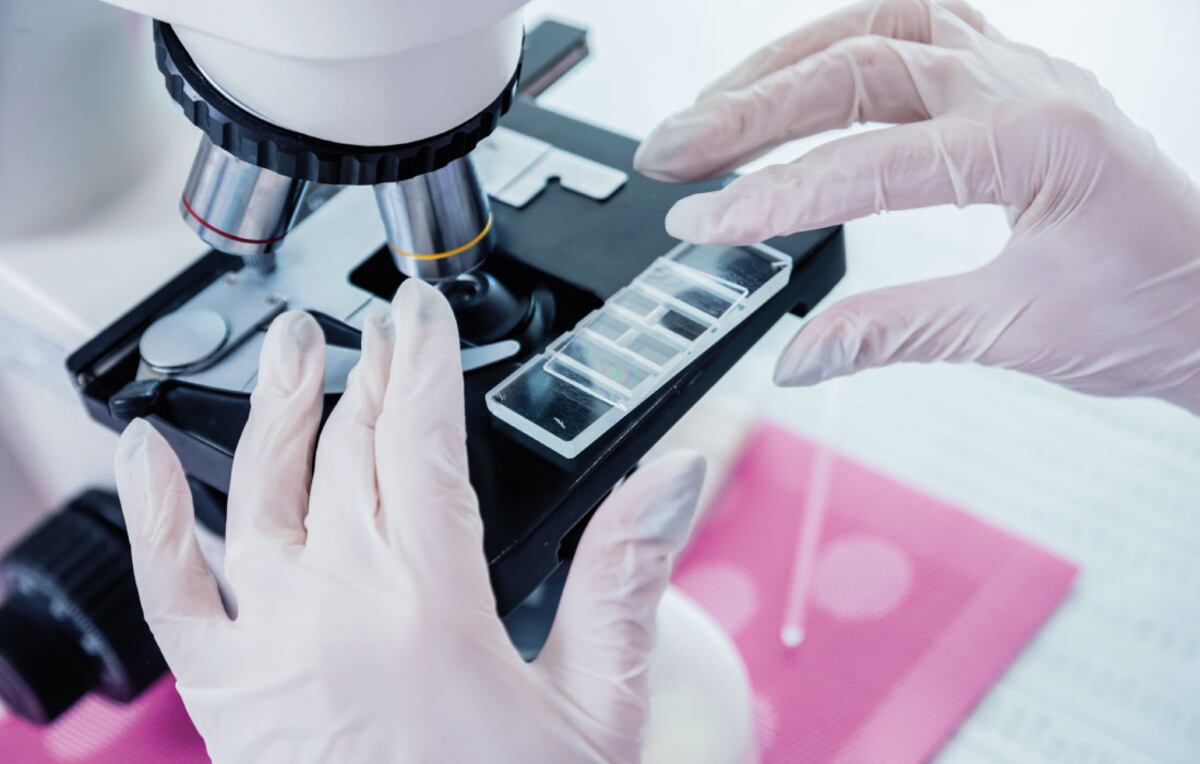 Gracias a la Genómica y la tecnología de laboratorio es posible estudiar diferentes genes al mismo / Sanatorio Allende