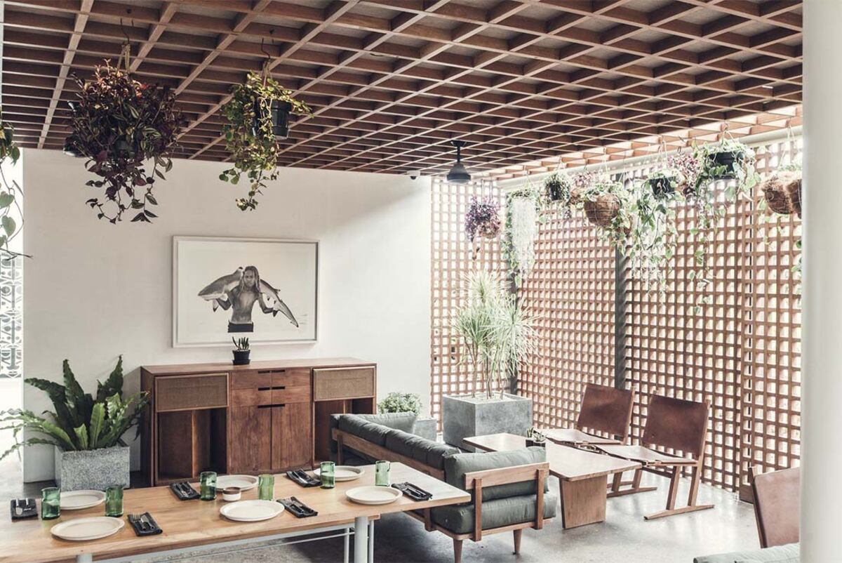 Plantas. Un recurso que conecta directamente con la naturaleza, aporta calidez y energía positiva.