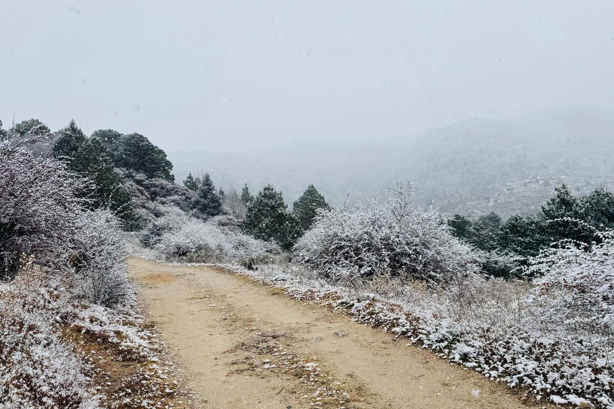 Nieve en Córdoba. La Cumbrecita se vistió de blanco. (La Voz)
