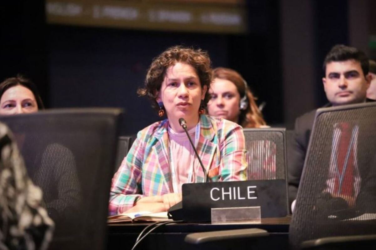 Maisa Rojas pidió no ceder en el debate sobre el fin del uso de los combustibles fósiles. (Foto Gentileza)