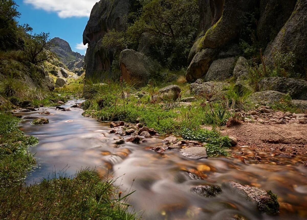 La reserva conserva auténticos tesoros naturales. (Foto: Valle de los Lisos)