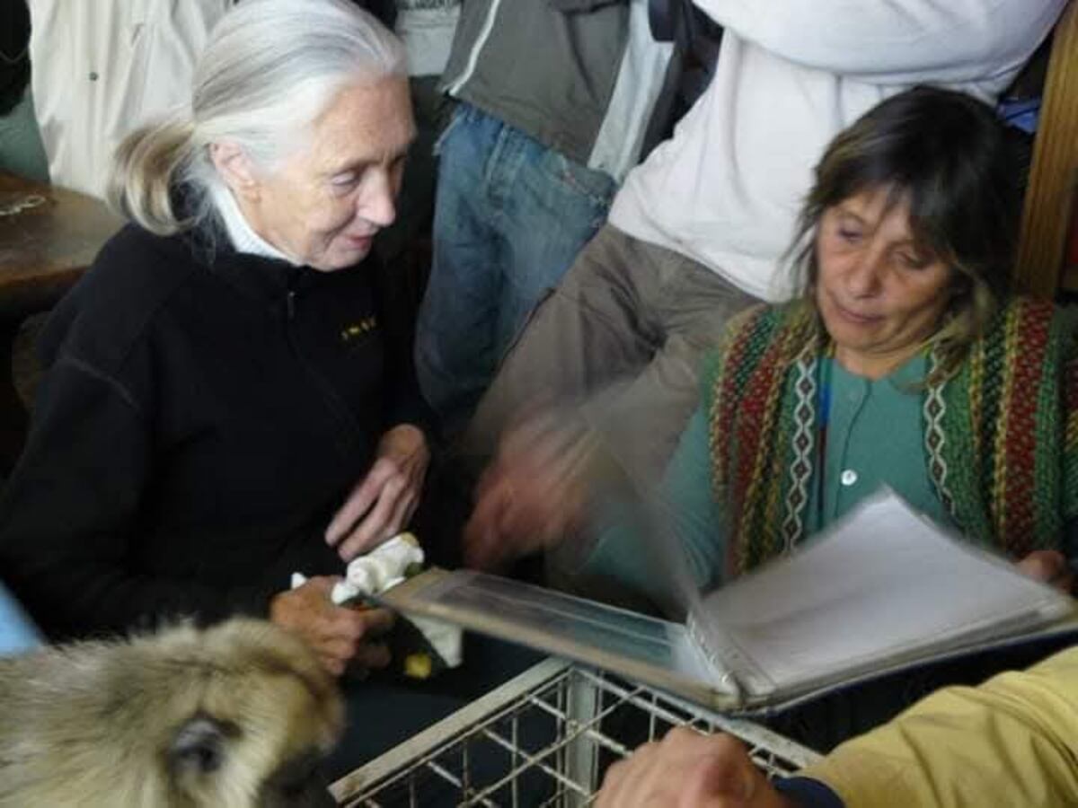 Alejandra Juárez, del Proyecto Carayá, y Jane Goodall de visita en Córdoba. (Gentileza)