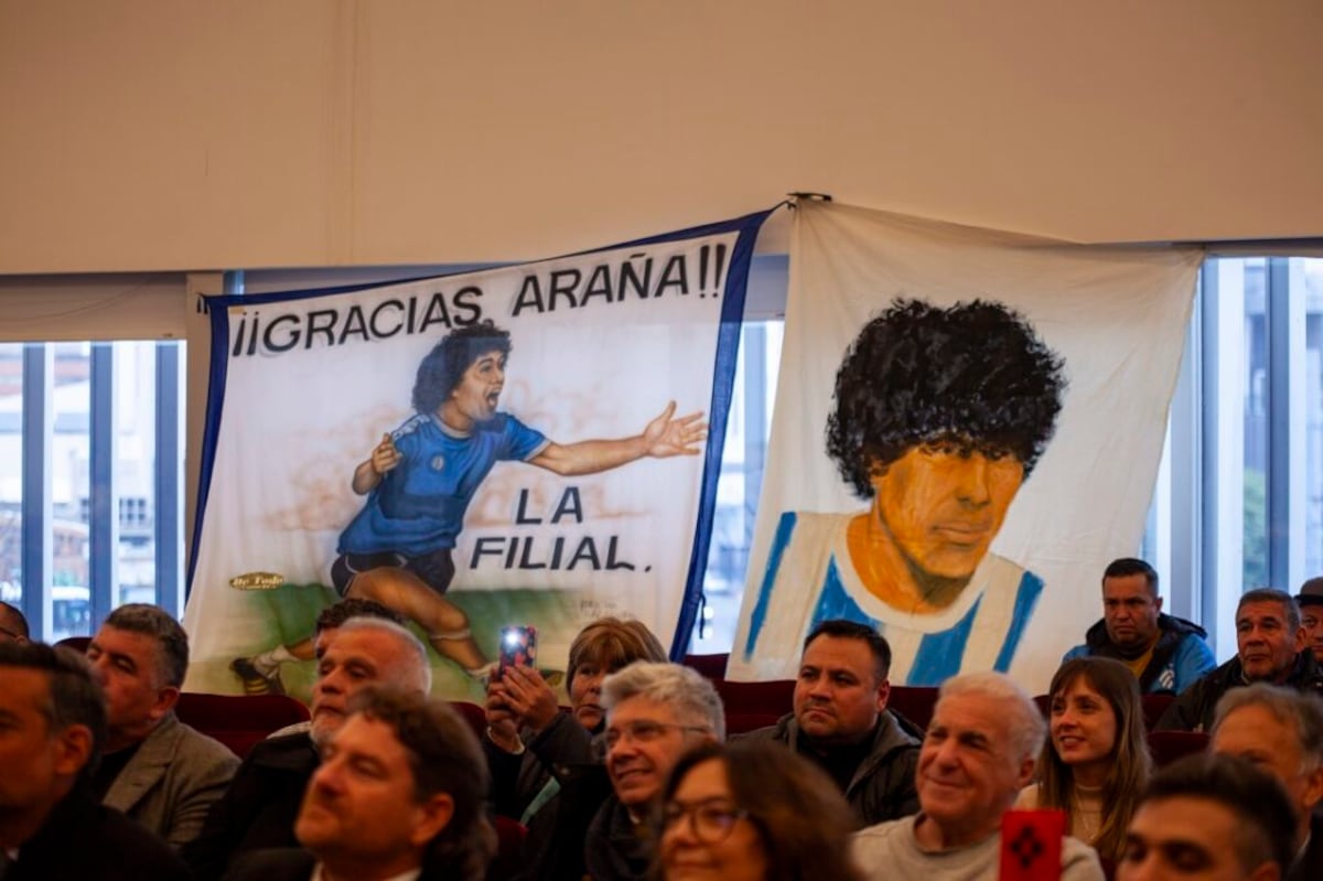 Luis Amuchástegui