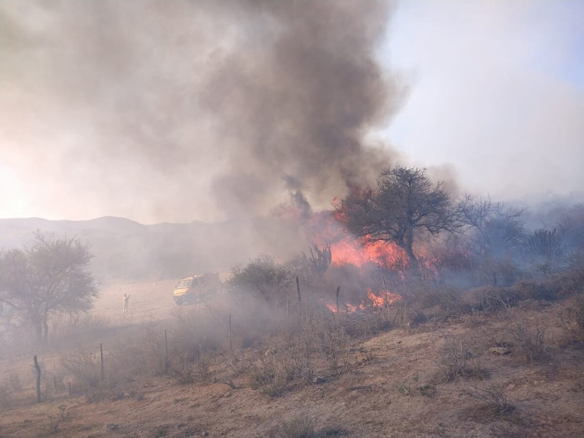 Incendios en Caminiaga, al norte de la provincia de Córdoba. (Gentileza Federación Bomberos Voluntarios)