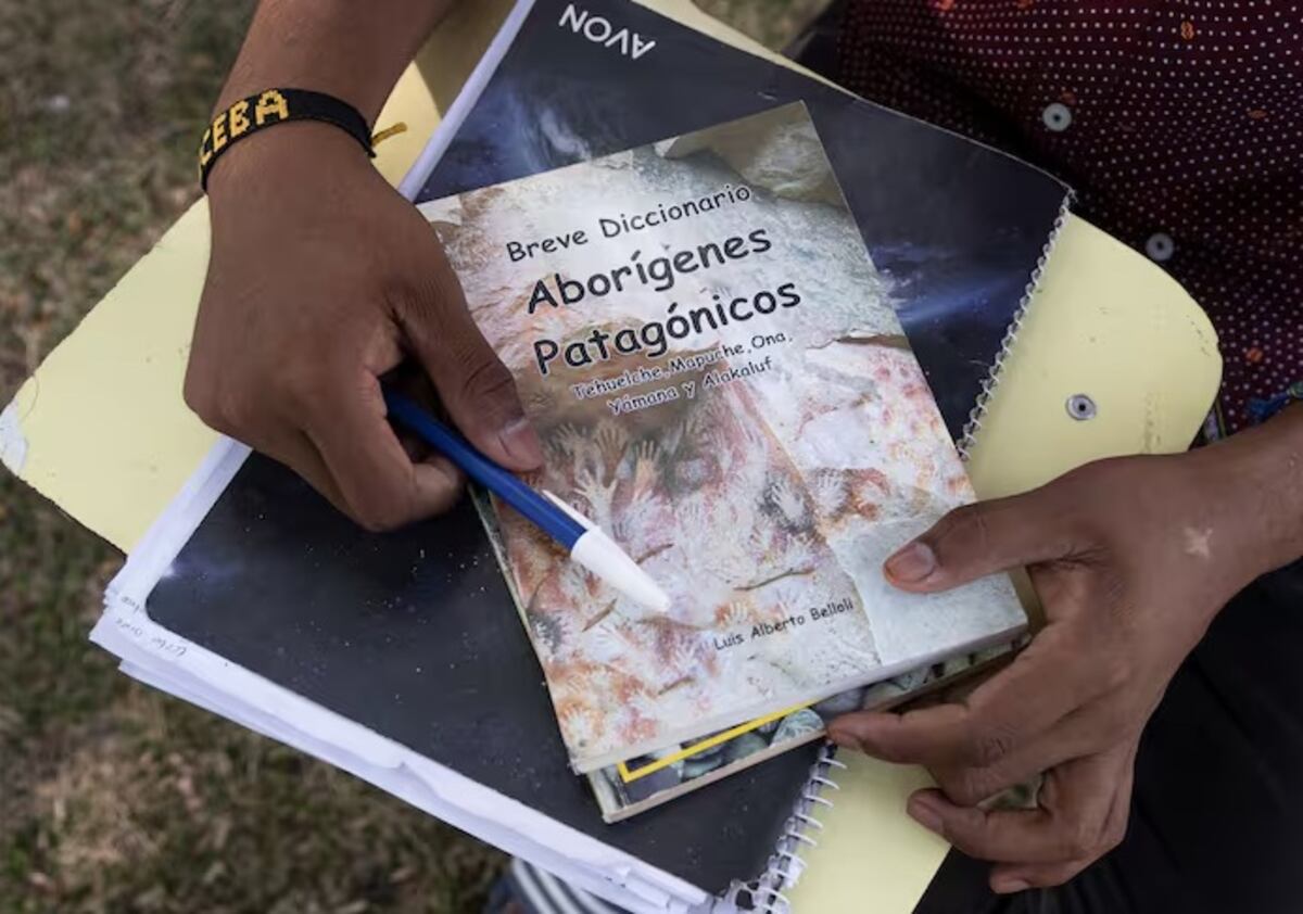 Formosa. Eceba Díaz, un estudiante de 17 años, está a punto de comenzar sus estudios de Letras en la Universidad  gracias a una beca de la Fundación Sí (Gentileza La Nación).
