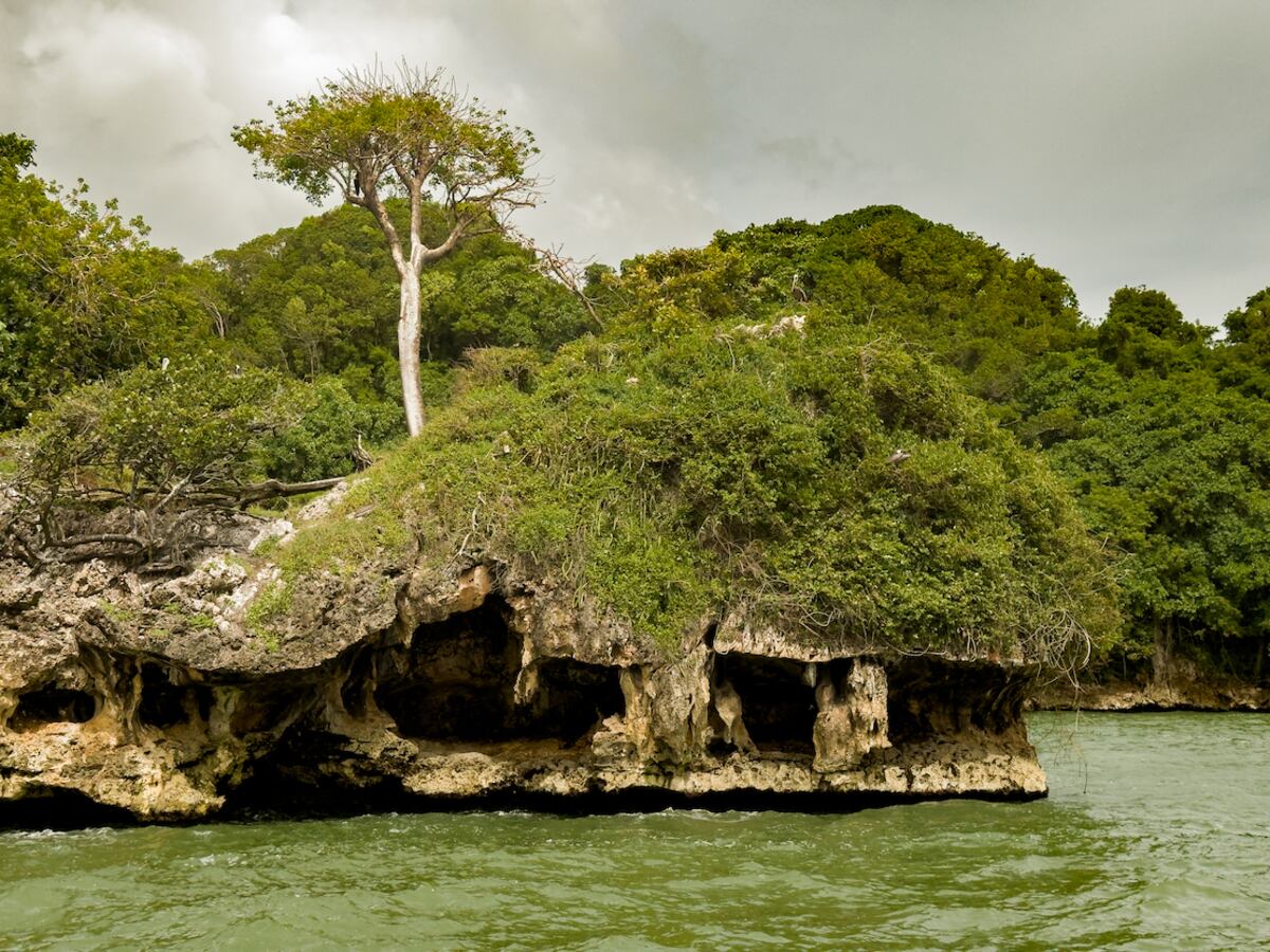 En la navegación por las aguas turquesas del Mar Caribe se pueden ver islotes cubiertos de selva tropical.