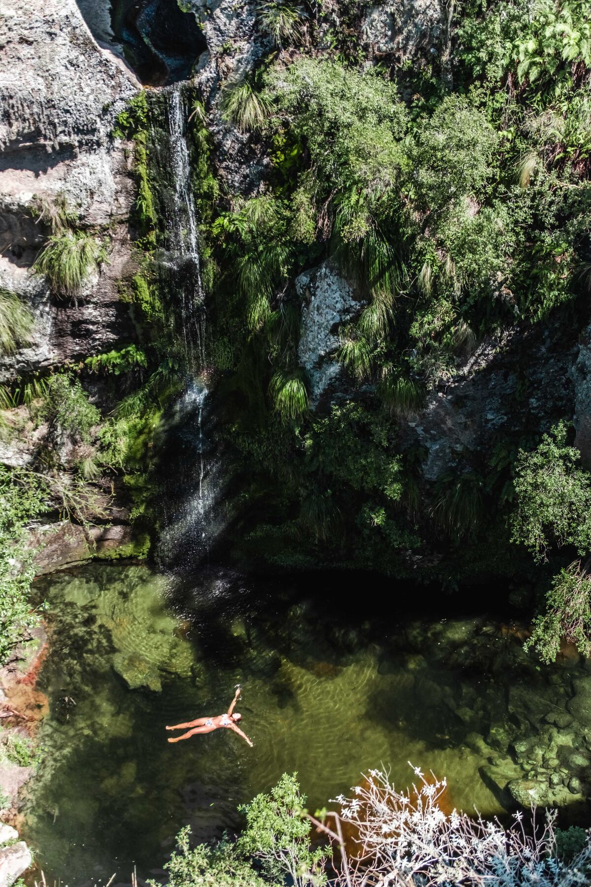 Una espectacular ventana a 8 metros de altura brinda un paisaje similar a los cenotes mexicanos. (Gentileza: Martín De Rico)