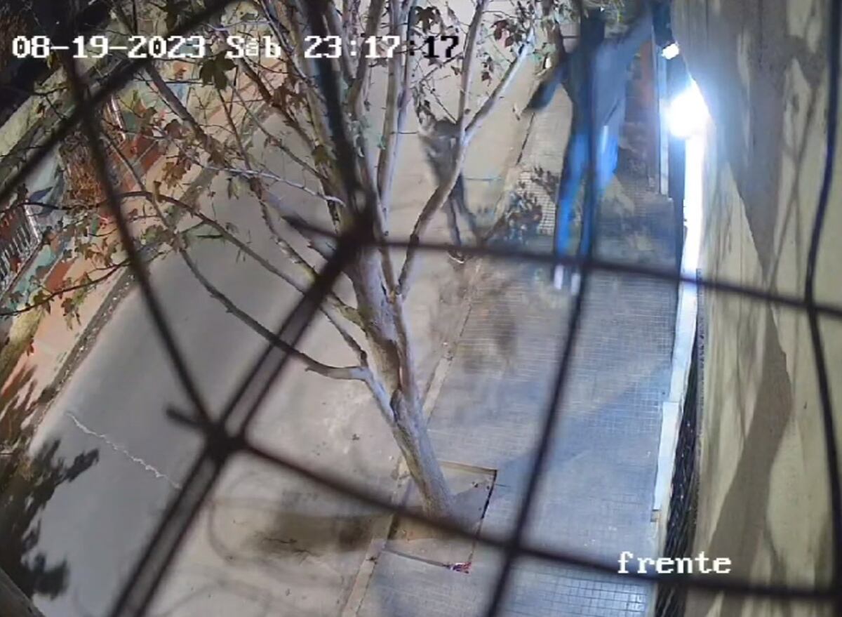 Un delincuente se descuelga de una casa en barrio San Martín (La Voz).
