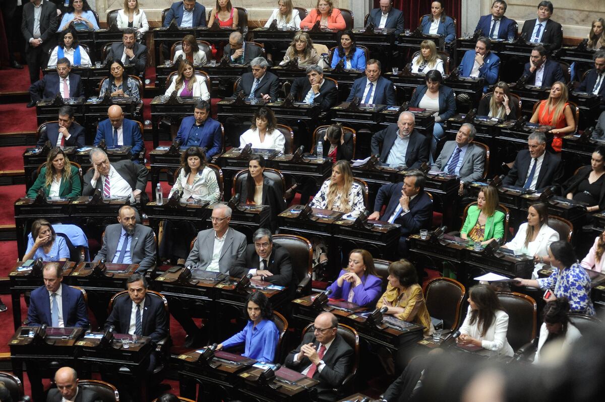 Cámara de Diputados. (Federico López Claro)
