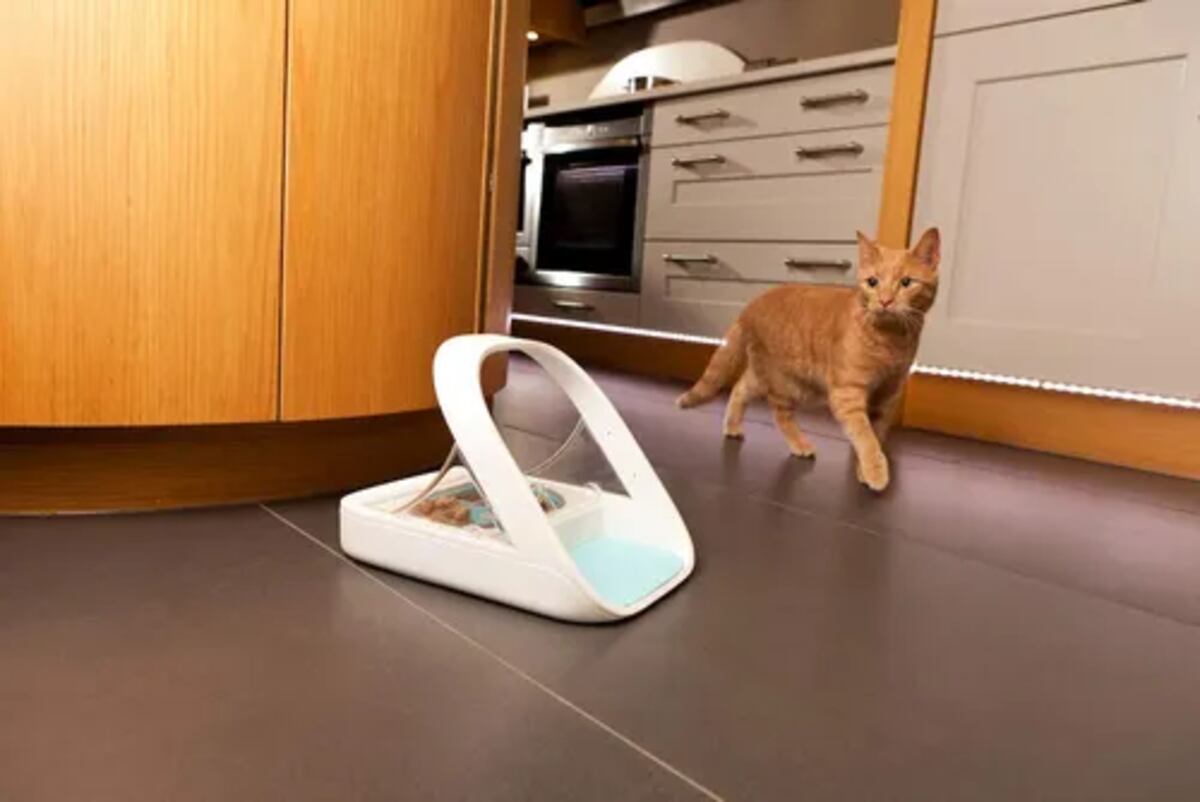 Comederos con microchip ID para las mascotas.
