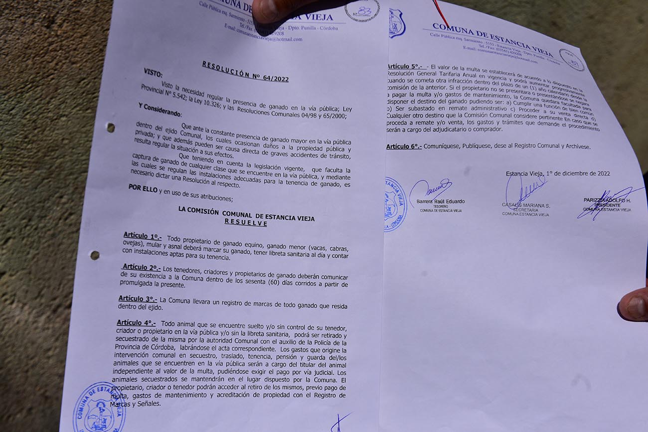 Comuna Estancia vieja vecinos se quejan de que hay muchos caballos sueltos y es un peligro. (José Gabriel Hernández / La Voz)