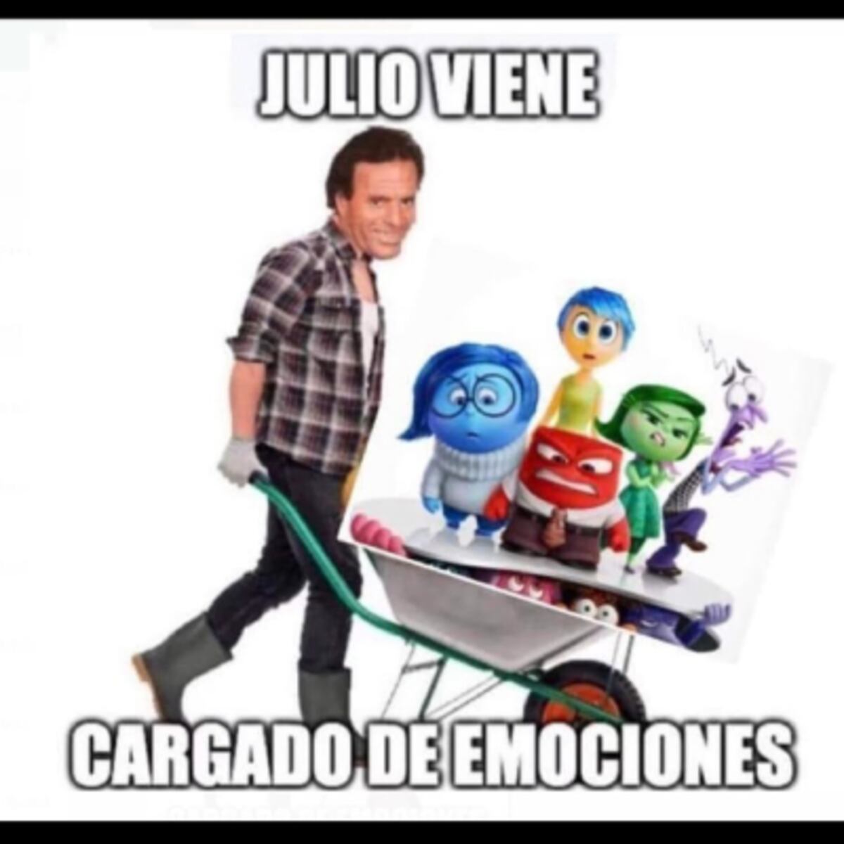 Los mejores memes de Julio. (Captura)