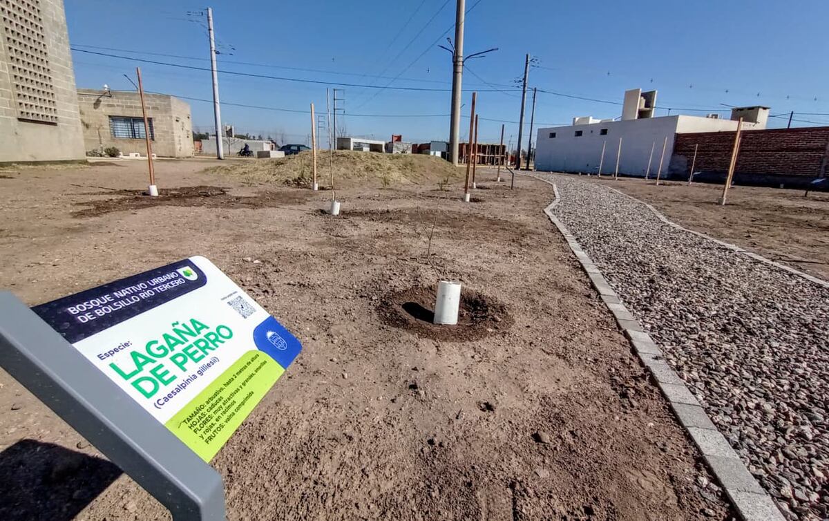 Río Tercero inaugura su primer "bosque nativo urbano de bolsillo" (La Voz)