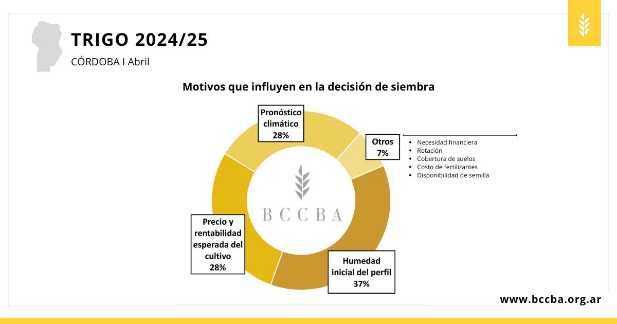 Trigo campaña 2024-2025