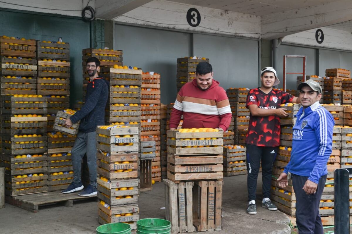 CINTURÓN VERDE. En Río Cuarto, la producción hortícola se desarrolla en un área de 450 hectáreas que se comercializa en un mercado de abasto local. (Gentileza Mercado de Abasto de Río Cuarto)