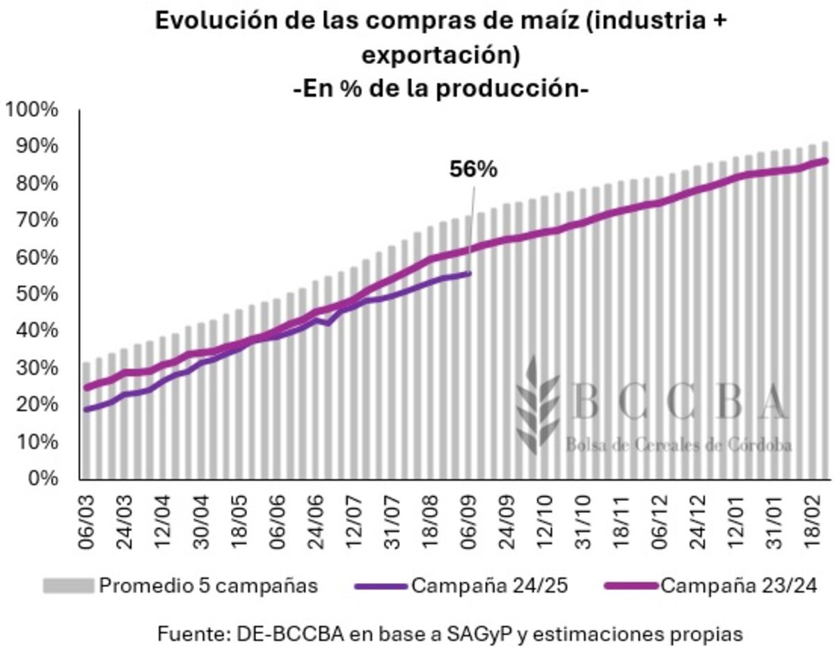 (Gentileza BCCBA)
