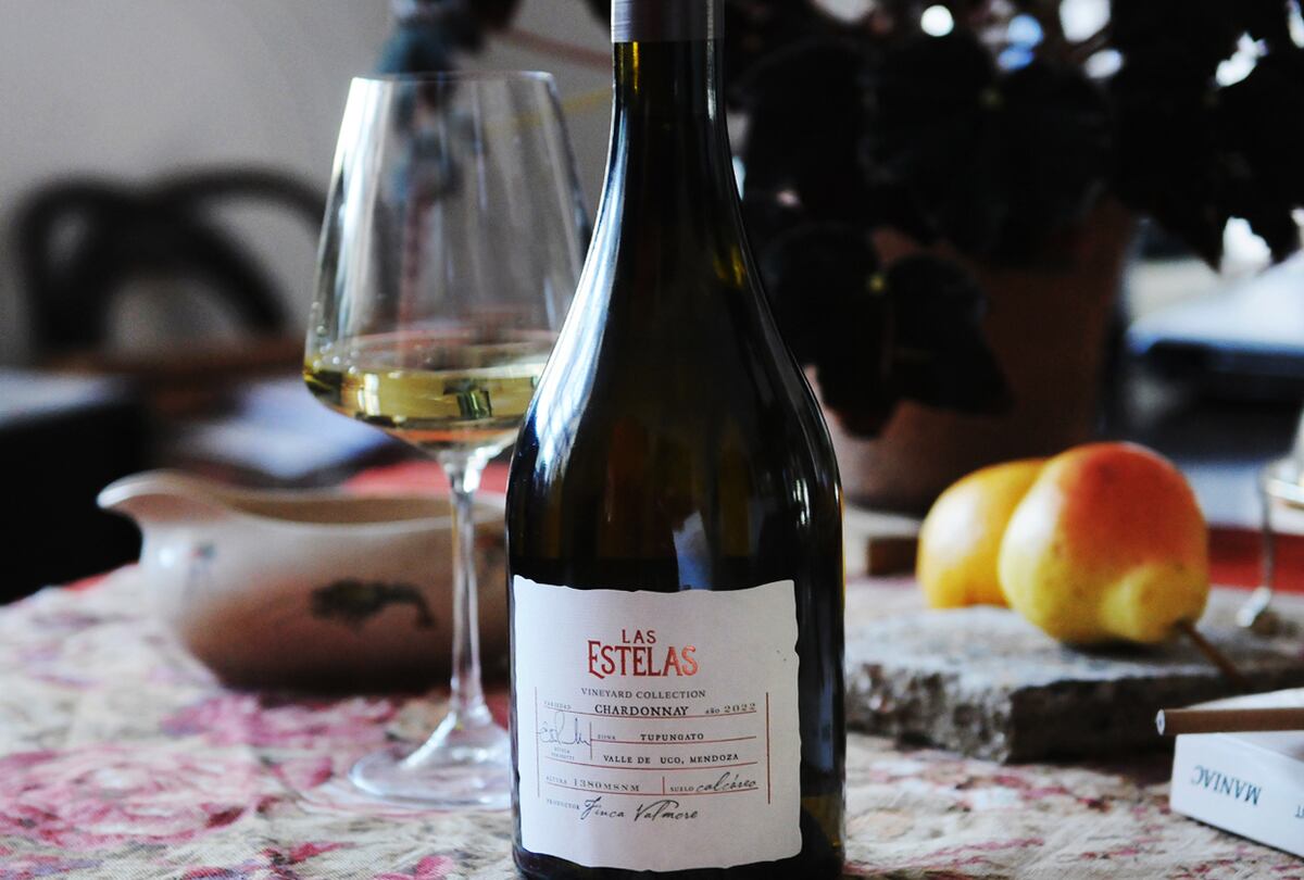 Vinos hechos por mujeres en Argentina (Javier Ferreyra).