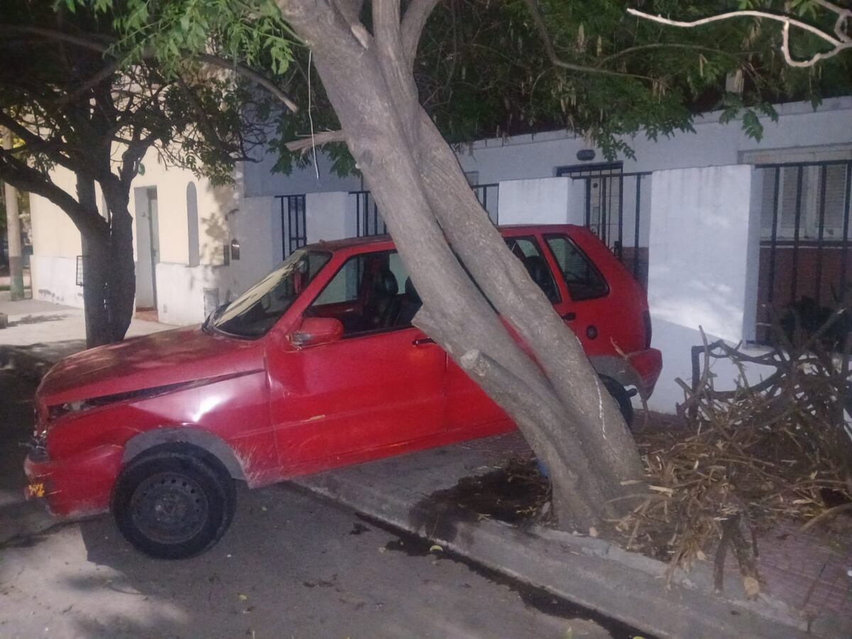 Chocó un auto y dos casas en Córdoba. (Policía)