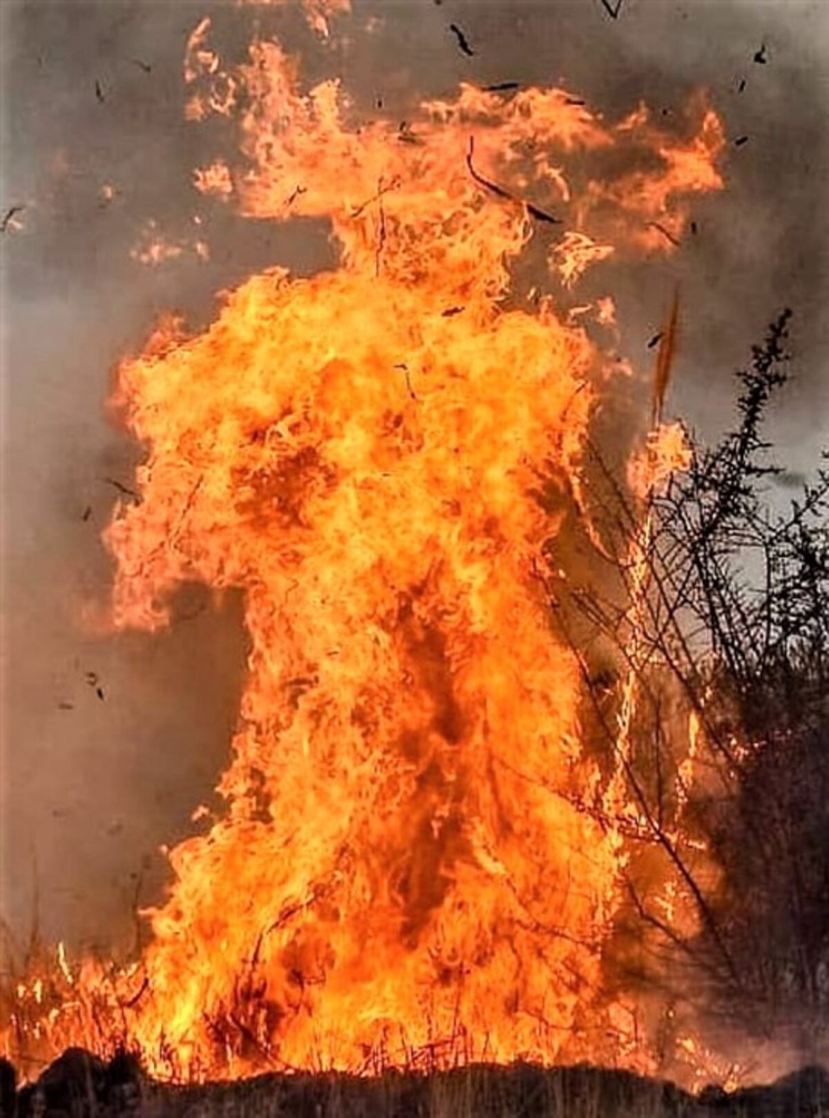 El Diablo de Fuego. Imagen de 2020. (Charly Soto)