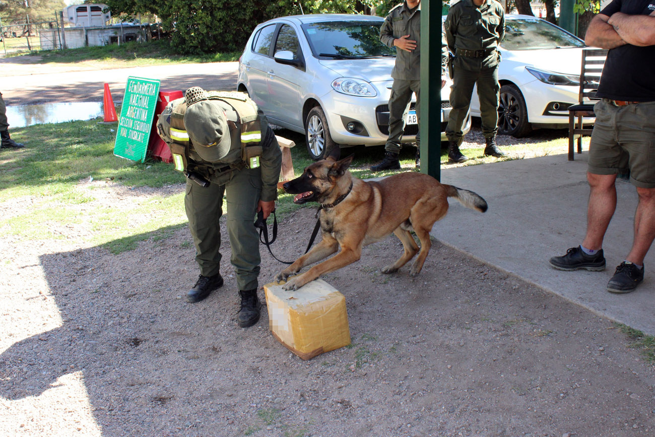Operativo de Gendarmería: hallaron cocaína en un juego infantil. (Gentileza Gendarmería)