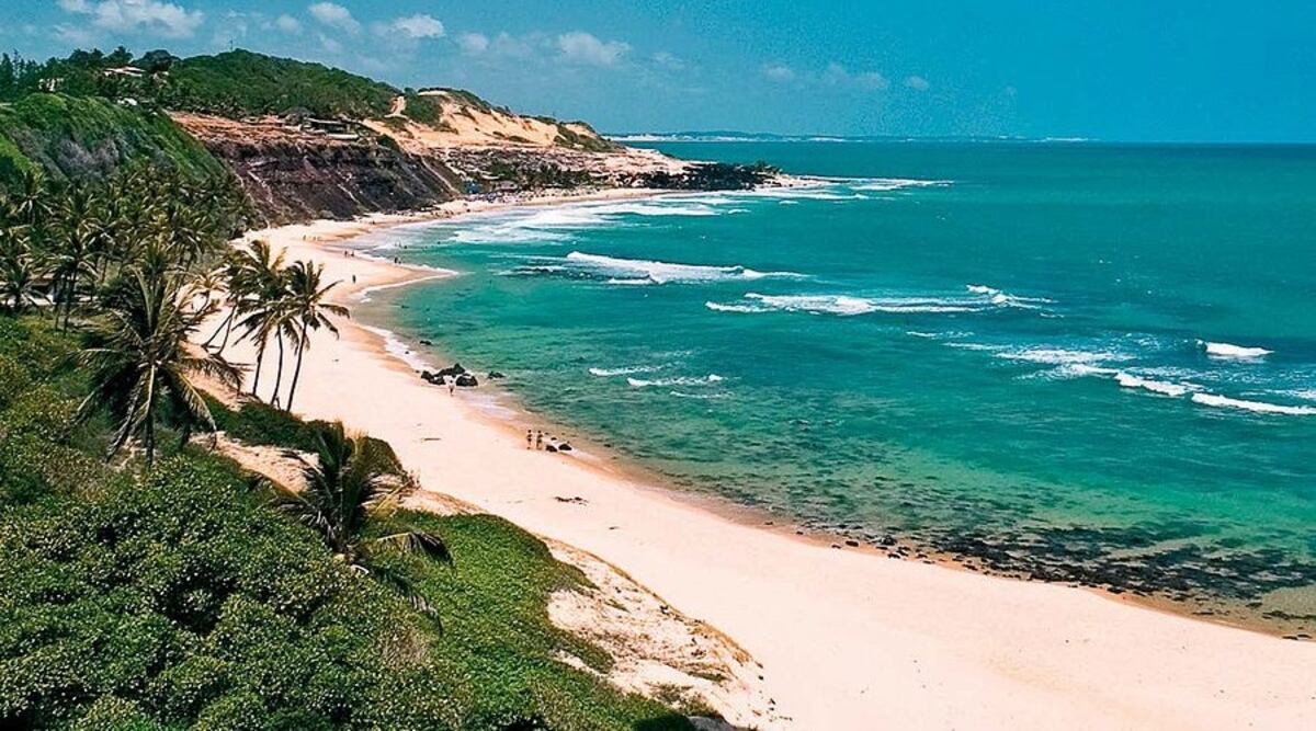 Vacuna fiebre amarilla Brasil 2026: recomendaciones clave para turistas argentinos