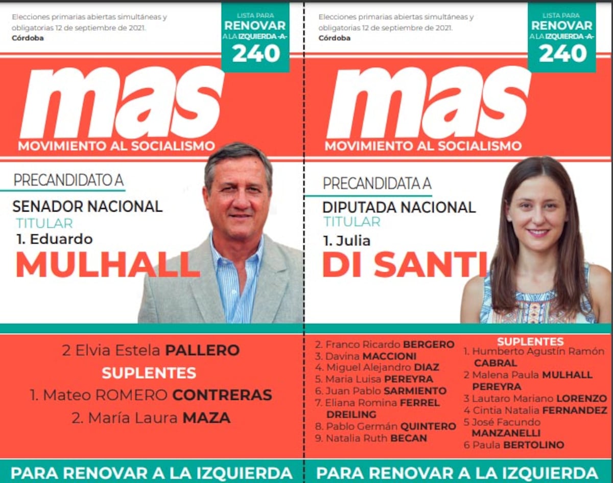 Boleta del Movimiento al socialismo, de Julia di Santi y Eduardo Mulhall para las Paso 2021