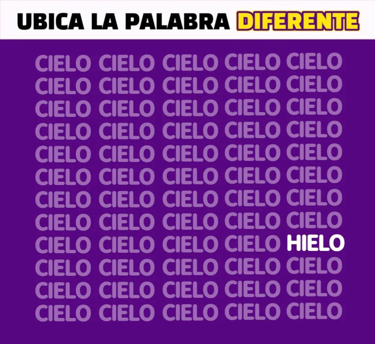 La solución del acertijo.
