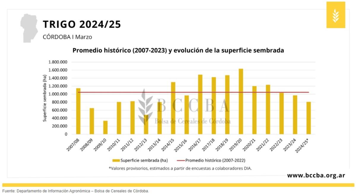 TRIGO. Proyección de siembre 2024/2025. (BCCBA)