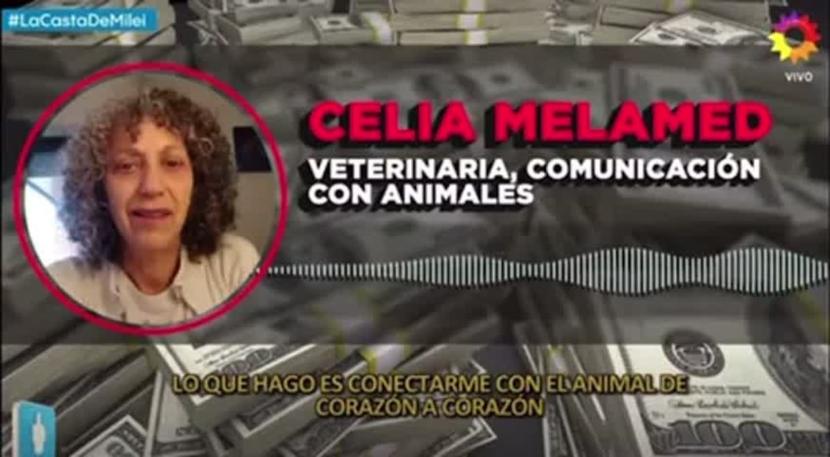 Celia Melamed, la médium de los perros de Javier Milei (PPT)