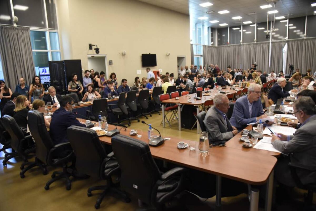 Las comisiones dictaminaron el proyecto y ahora resta su paso por Presupuesto y Hacienda (Foto: HCDN)