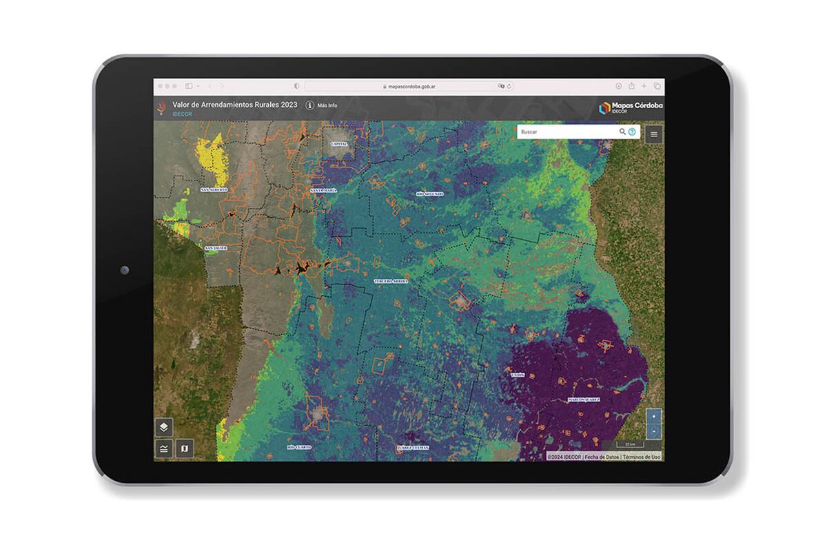 Presenta información sobre el valor, distribución espacial y comportamiento del mercado de arrendamientos agrícolas.