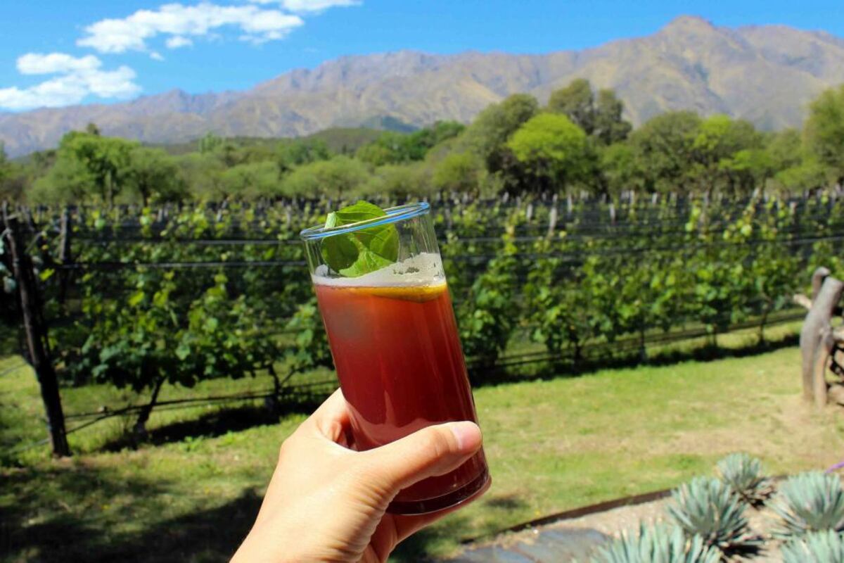 Una visita a la bodega Aráoz de Lamadrid. Foto: Noelia Maldonado