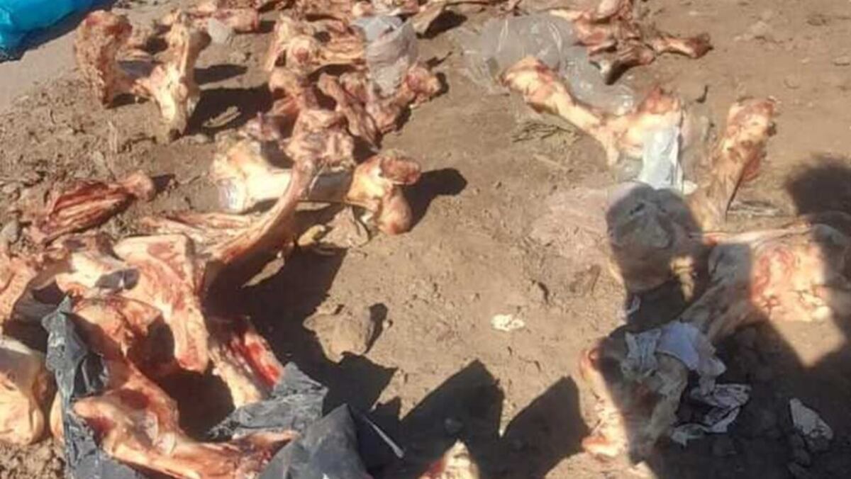 Córdoba: clausuraron un frigorífico por tirar carne en la vía pública (Gentileza)