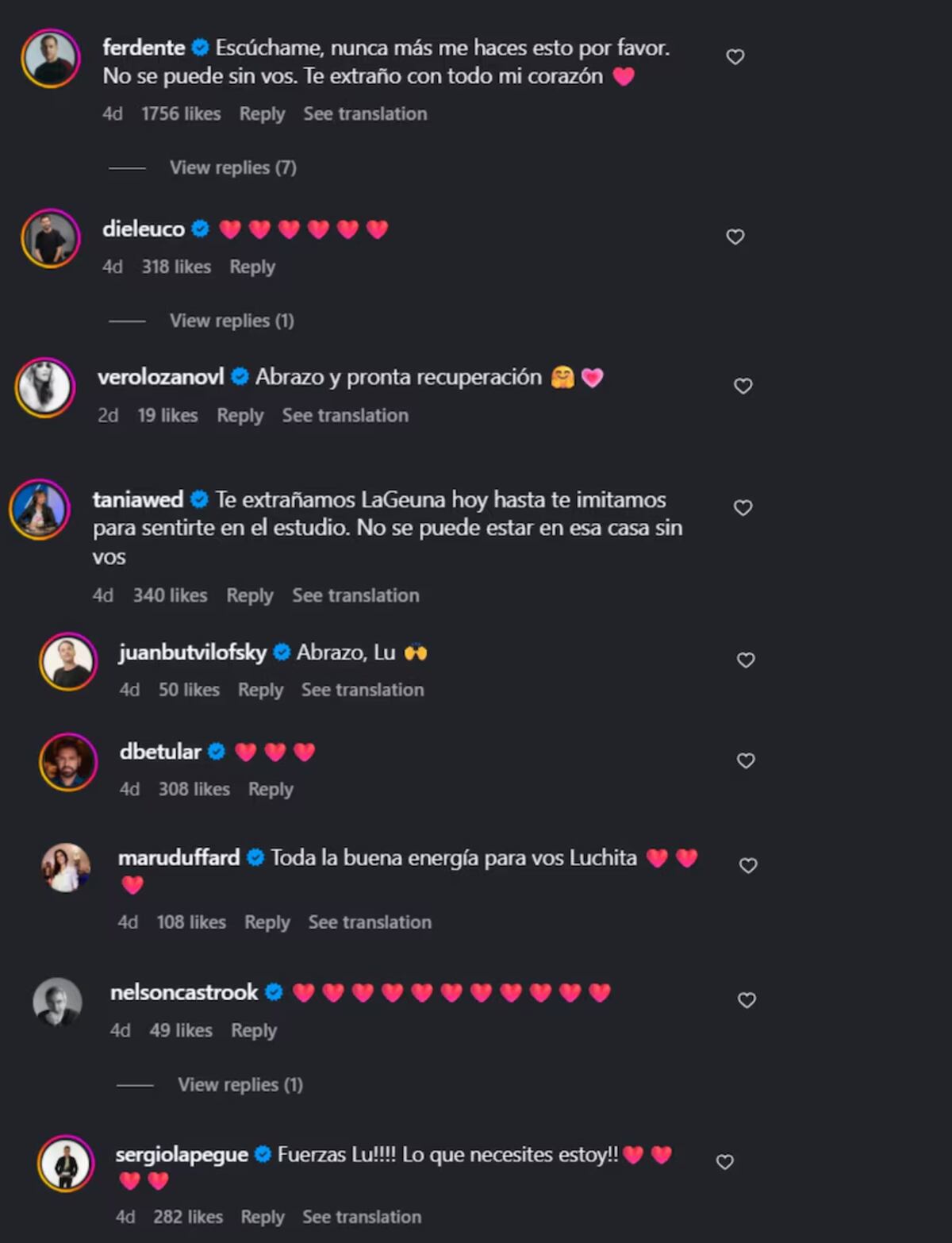 Algunos de los comentarios de apoyo que recibió Luciana Geuna al contar de su internación. (Foto: captura de pantalla de Instagram)