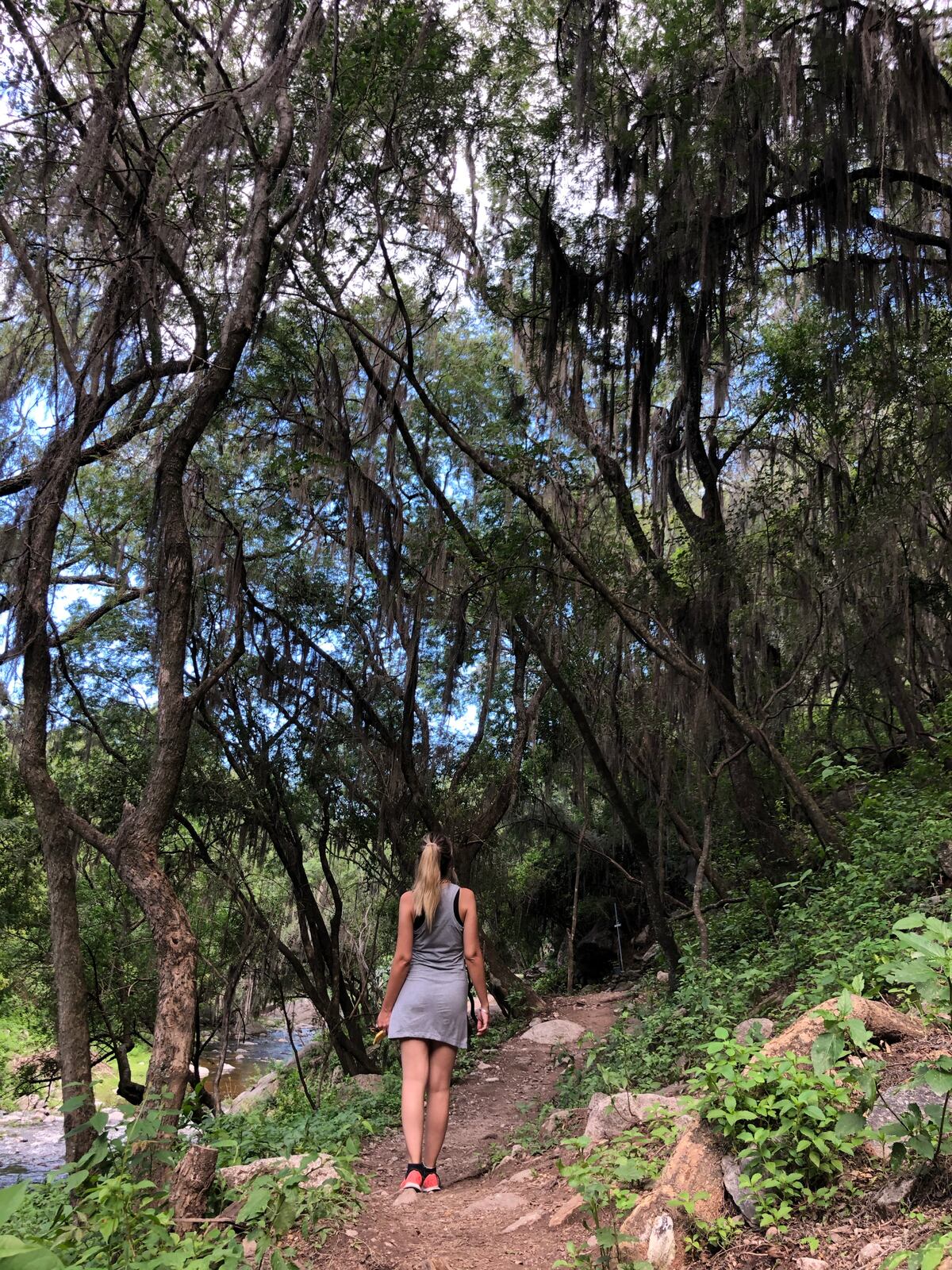 Los alrededores del río Los Nogales son un buen escenario para hacer caminatas. (Foto: Romina Musso)