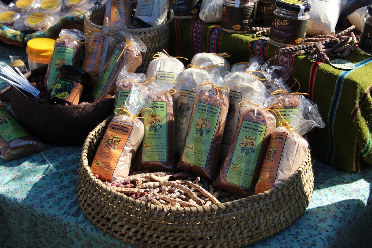 El algarrobo se puede potenciar como un producto regional. (Inta)