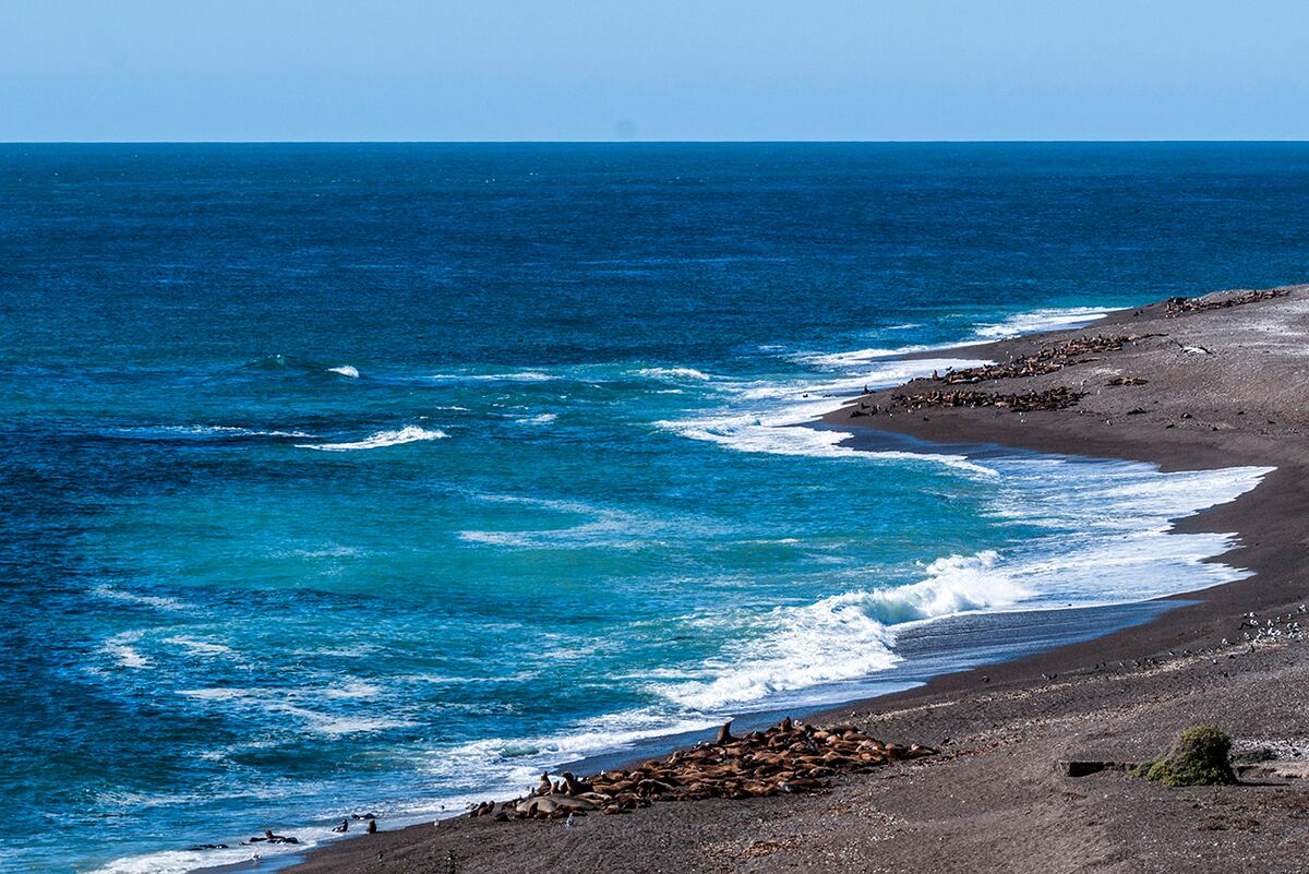 Punta Norte en Península Valdés. (Mario Rodríguez)