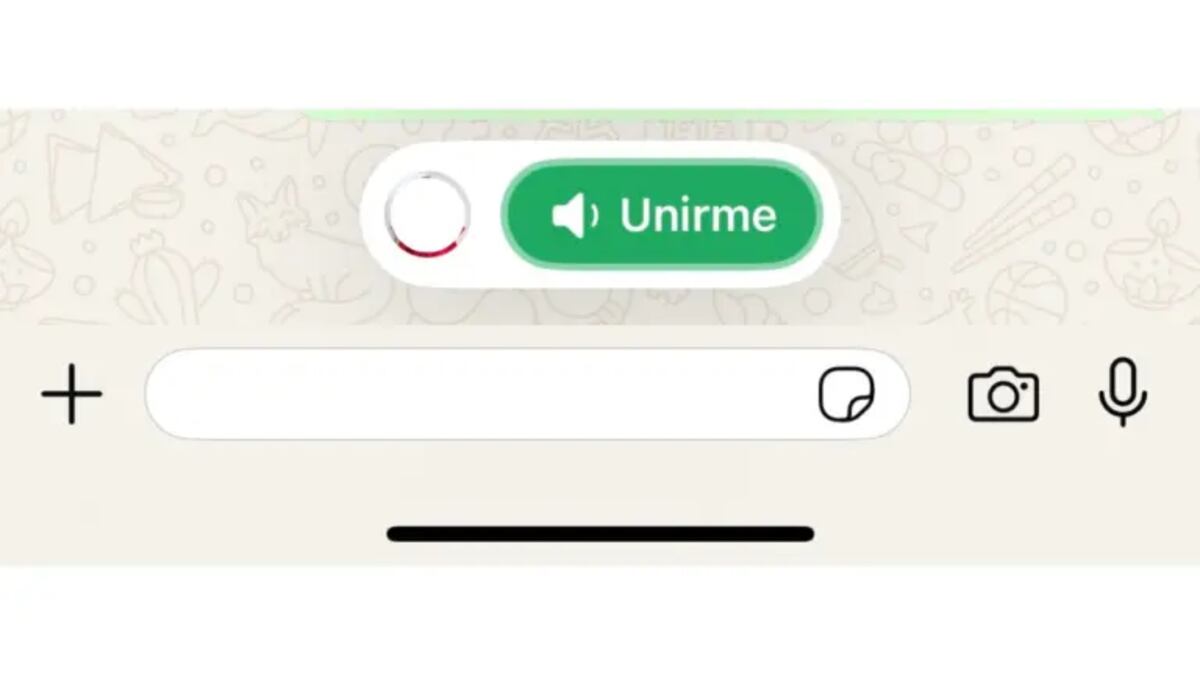 Chequeado verificó que se trata de un chat grupal.