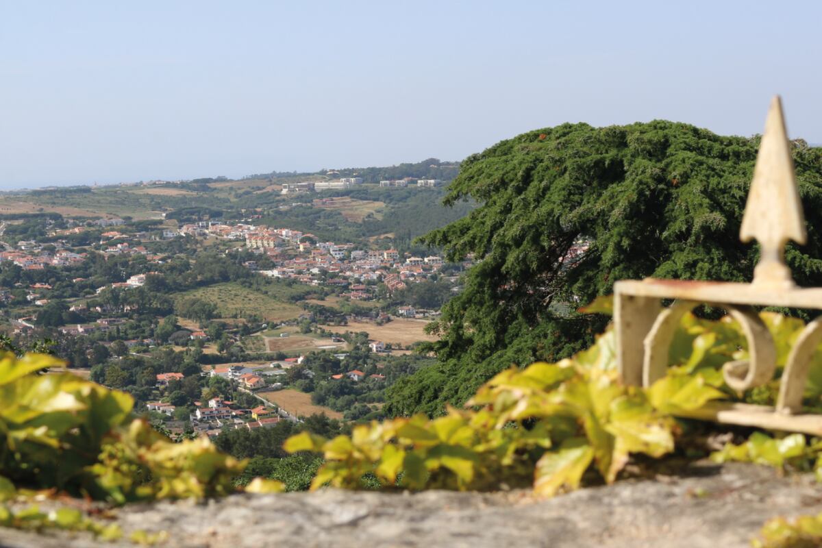 Sintra - Desde las alturas, un balcón natural refleja el verde portugués y a sus pueblos encantados.