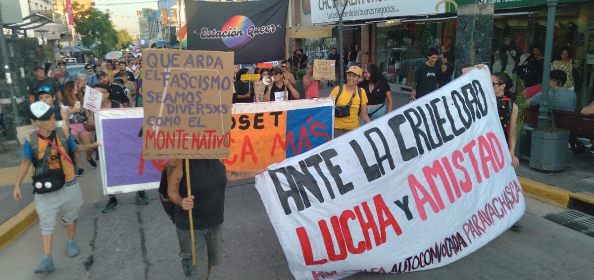 Alta Gracia. Marcha contra Javier Milei, luego de su discurso contra la comunidad LGBT. (La Voz)